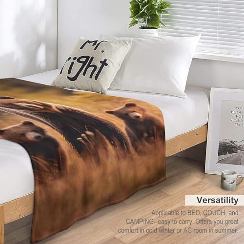 Couverture en ours 3D pour lit ou canapé plaid moelleux voyage - 7