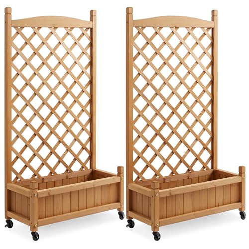 Casafield Set of Two 48