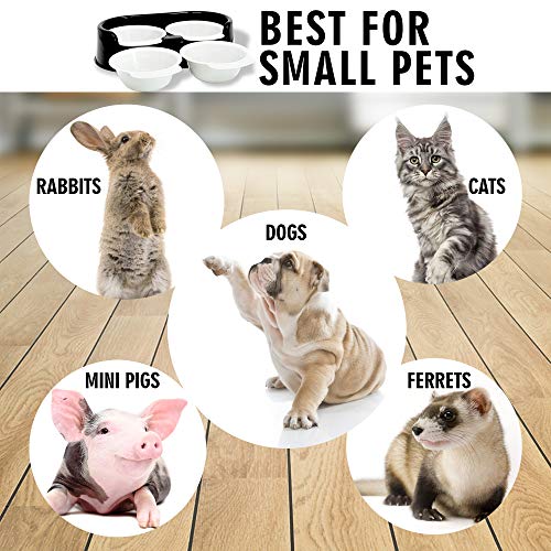 Rapid Brands Cali Pets Clean Feeder with Replacement Bowls | No-Mess Food Bowl for Cat & Small Dog | Dishwasher-Safe & BPA-Free