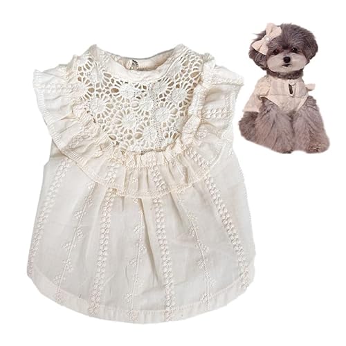 �h�b�O�E�F�A �h���X ���̕� �X�J�[�g ���� ���������s�[�X ���p�����s�[�X ���p�h�J�����s�[�X �h�J�����s�[�X �y�b�g�E�F�A ���p�ĕ� �t �� �H �� ������ꌢ�� ���^���E�F�A ���p ���p�A�E�g�h�A�p �h�� ���[�X ���^�� ���^�� �U���p �������[�X 