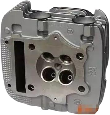 GN250 GN300 Compatible Motorcycle Cylinder Head Compatible With DR250 GZ250 250cc Engine Spare Parts