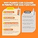 PUAINTA Ear Cleaner for Dog & Cats, Dog Ear Drop and Infection Treatment, Dog Ear Cleaning Solution- Cleaning,Soothing and Deodorizing Itchy Ears 4oz