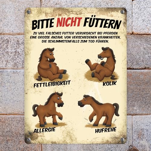 Metallschild mit Pferde Motiv und Spruch: Bitte nicht füttern