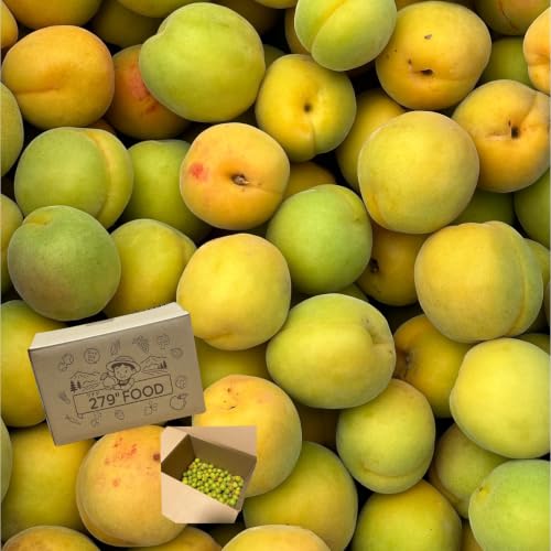 完熟梅 10kg」の人気商品一覧・価格比較 - 価格.com