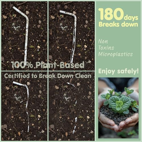 200 Pitillos Desechables Biodegradables 8.25 Pulgadas miniatura 7