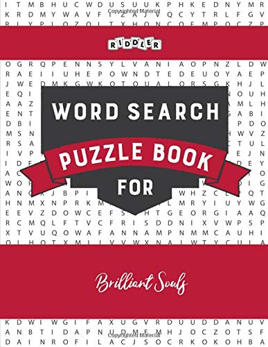 Word Search Puzzle Book for Brilliant Souls