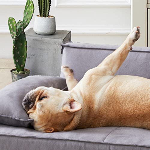 HomeConic Hundebett orthopädisch mittelgroße Hunde - Memory Schaum Hundesofa, Hundebett waschbar, Schlafplätze & Möbel für Hunde, Katzenbett flauschig, Orthopedic Dog Bed Pets
