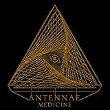 Walking with Wild Flower in Bloom