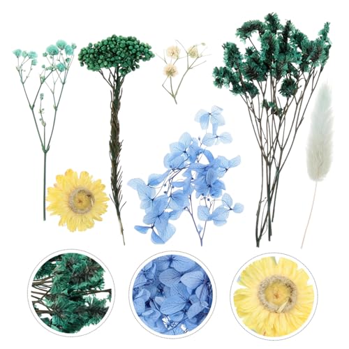 Kit artesanal de flores secas naturales CORHAD miniatura 5