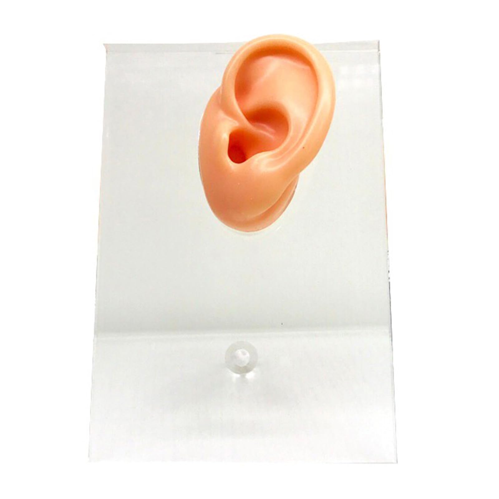 Yrqmgsf Left Crystal Silicone Ear Model Simulation Silicone Ear Model For Display, Sketching, Teaching, Project Practice,,9Cm