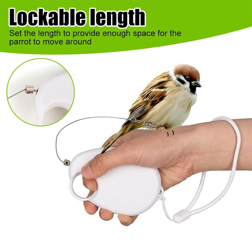 Harnais pour oiseaux - 6 m - Auto-rétractable - Pour perruches, calopsittes et perruches - Longicauda