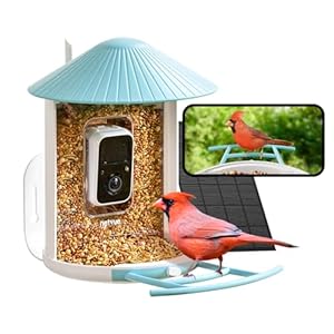 NETVUE Birdfy® Smart Bird Feeder with Camera, Bird Watching Camera, Auto Capture Bird Videos & Motion Detection, Wireless Camera Ideal Gift for Bird Lover (Solar Lite)