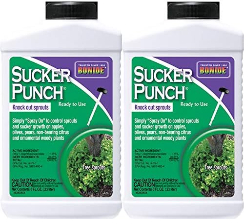Bonide Chemical 276 Sucker Punch RTU Brush Top, 8-Ounce (Pack 2)