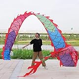 リボン ドラゴンリボンストリーマー、 調節可能なロッド付きの洗えるシルクのようなポイ、 アウトドア フリンジ フィットネス ドラゴン ダンス ウーロン リボン おもちゃ (Color : Mixed Color, Size : 6 m Length)