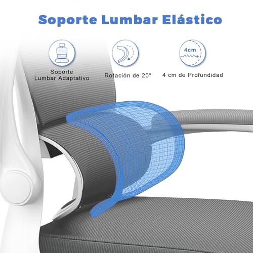 Miniatura 4 de Naspaluro Silla Oficina Ergonómica Con Soporte Lumbar, Silla Escritorio Respaldo Con Reposacabezas Y Altura Ajustables, Reposabrazos Abatible,Silla De Ordenador Para Oficina En Casa,Dark Gray