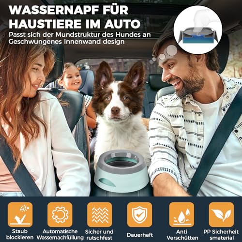 Wassernapf für Hunde Unterwegs 750ml, Qianyou Auslaufsicher Spritzschutz Fressnapf Hundenäpfe Katzenapf Haustier rutschfest Auto Reise Trinknapf Plastik Abnehmbar Tragbar Wasserschüssel Grün