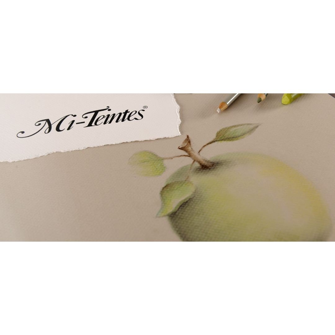 Canson MiTeintes Papier à dessin 160g/m² Grain nid d'abeille 1,52 x 10 m Blanc