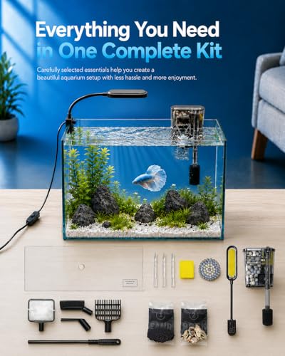 Image of 5-Gallon Ultra-Clear Glass Fish Tank Starter Kit, LED Light, Reusable 3-Stage Filter, Lid, Easy Maintenance Rimless Aquarium for Betta and Small Fish