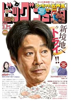 ビッグコミック 2026年 5号+6号