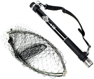 Amazon Co Jp タモ 6m