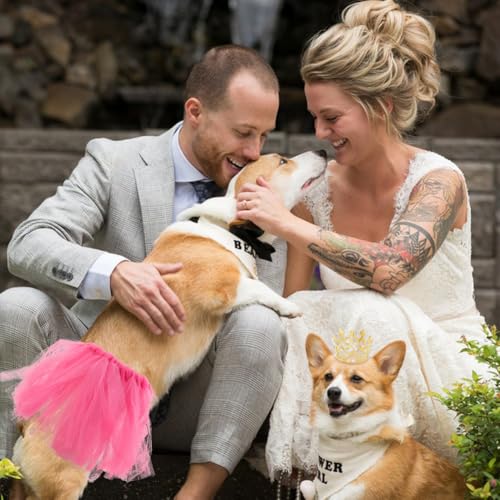 Set de ropa para mascotas con corona y tutú princesa miniatura 6