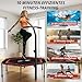 50-Zoll-Mini-Fitness-Trampolin für Erwachsene – Indoor-Rebounder mit stabilem Rahmen, ideal für das Training zu Hause und Sportübungen. Maximale Belastbarkeit 230 kg.