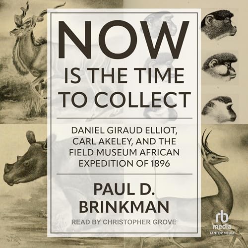 Now Is the Time to Collect (Authored by Paul D. Brinkman) episode artwork