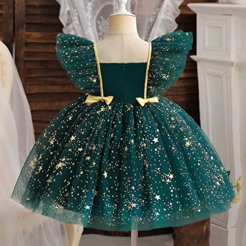 Image of HNXDYY Little Girls Princess Dress Girls Fancy Party Costume