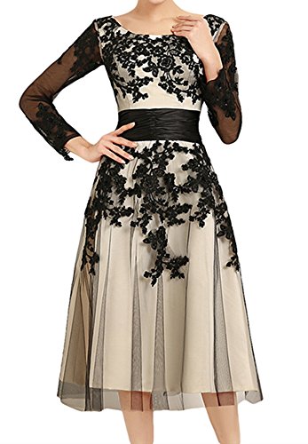 Robe de soirée sexy brodée style tutu en mesh chic