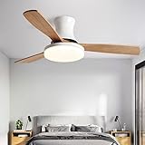 Jiaweida Ceiling Fan Ceiling Fan with Lights Remote Control, 6 Speeds Ceiling Fan with Remote, Log Leaf Fan Light, Living Room Dining Room Light