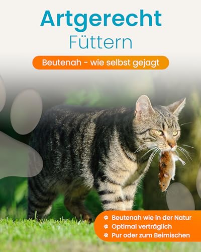 Lucky Kitty Katzenfutter Nass 100% Maus I Beutenahes Katzenfutter ohne Getreide & Zucker I Nassfutter für Katzen & Kitten I Ohne Zusätze, alle Nährstoffe natürlich enthalten I Made in Germany I 4x100g