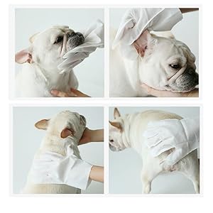 10pcs free rinse dog wipesscrubbing gloves for cats and dogs grooming gloves and pet wipes with lotion formula deal with the stinky dogs and wipes cleaning cat fur   cucciolini doodles