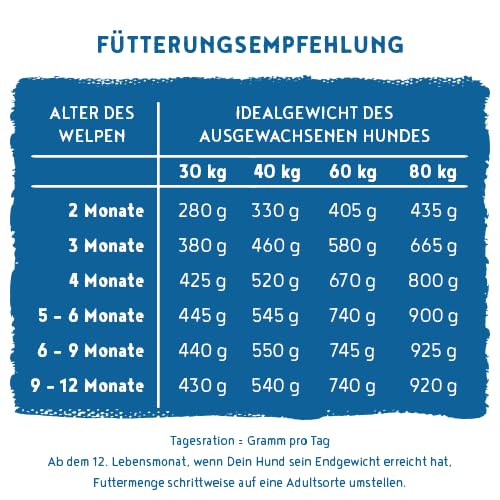 bosch HPC SOFT Junior Hühnchen & Süßkartoffel | halbfeuchtes Hundefutter für wachsende Hunde aller Rassen | Single Protein | grain-free | 1 x 2.5 kg