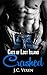 Crashed: Paranormal Shifter Romance (Cats of Lost Island Book 1)