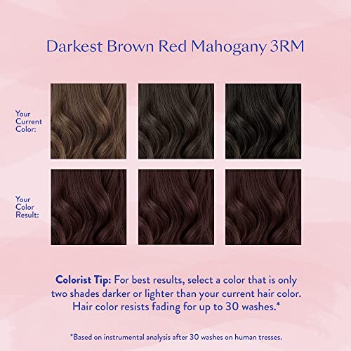 eSalon Permanent Hair Color & Dye Kit - Darkest Brown Red Mahogany - Personal Colorist for Up To 100% Gray Coverage, All Hair Types - Professional-Grade Ammonia-Free - Image 5