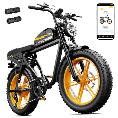 HOVSCO Electric Fat Bike 1500W