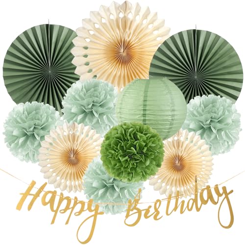 EASY JOY Salbeigrün Happy Birthday Party Deko Pompons Salbeigrün Geburtstagsdeko Wabenbälle Happy Birthday Girlande Frauen Girlande Wimpelkette Geburtstag Wabenbälle Pompons
