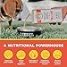 Brutus Broth for Dogs - All Natural Bone Broth for Dogs with Chondroitin Glucosamine Turmeric -Human Grade Dog Food Toppers - Beef and Pork Bundle