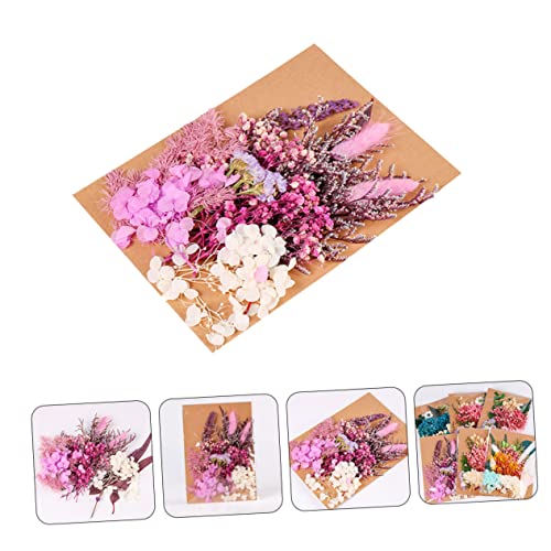 Kit de flores secas para manualidades y decoración miniatura 6