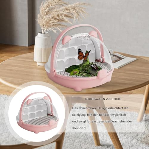 Boîte d'alimentation portable transparente pour grenouilles et reptiles - 8