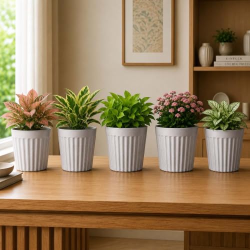 Image of Go Hooked Round Planter Pot (8Inch, Pack of 5) | White Marble Texture Stylish Modern Ribbed Design | Decorative Indoor Outdoor Plastic Flower Pots for Balcony, Living Room, Garden, Home & Office Decor