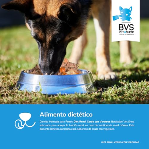 BVS Vet Shop | Diet Renal Schwein mit Gemüse Dose für Hunde | Geeignet zur Unterstützung der Nierenfunktion mit Lachsöl und Präbiotika | 6 Stück x 400 g