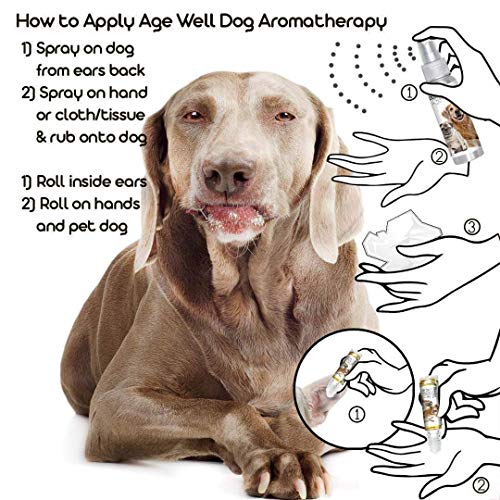 Image of The Blissful Dog Weimaraner Age Well Spray Aromatherapy