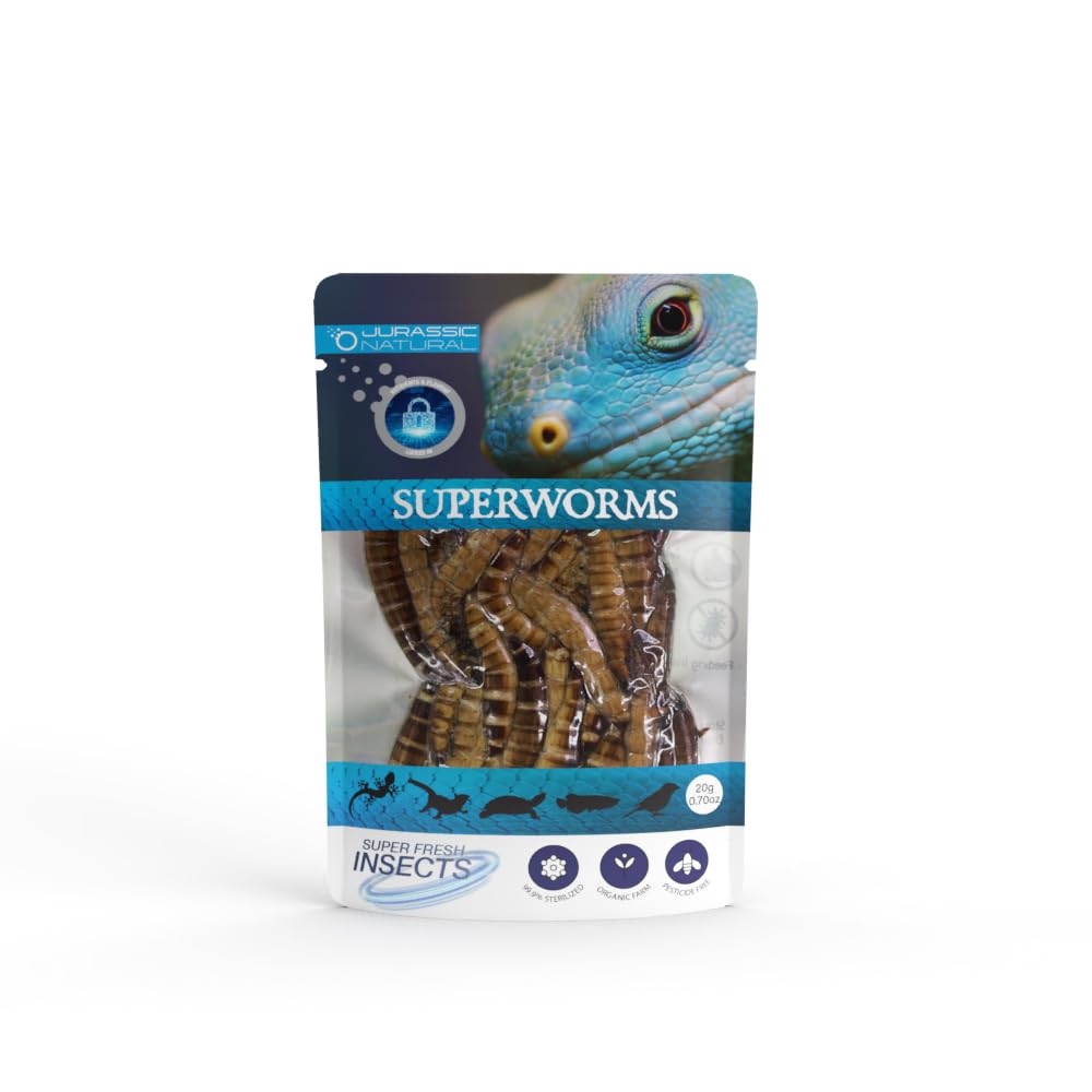 Jurassic Natural Superworm Single Pack 0.70oz