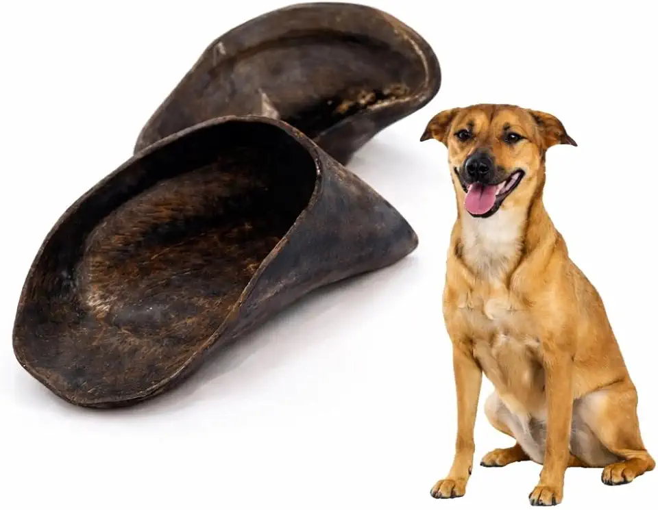 Casco Bovino Natural para Cachorro Brinquedo de Roer que Limpa Dentes 2 Unidades