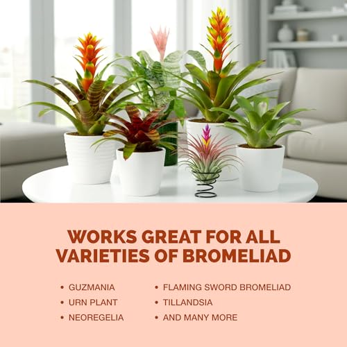 Fertilizante Líquido para Bromelias 8 oz miniatura 6