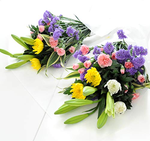 ԗR  ԑ a ΂̂p̉ԑ 2