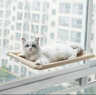 Cama de Janela Suspensa para Gatos com Ventosa
