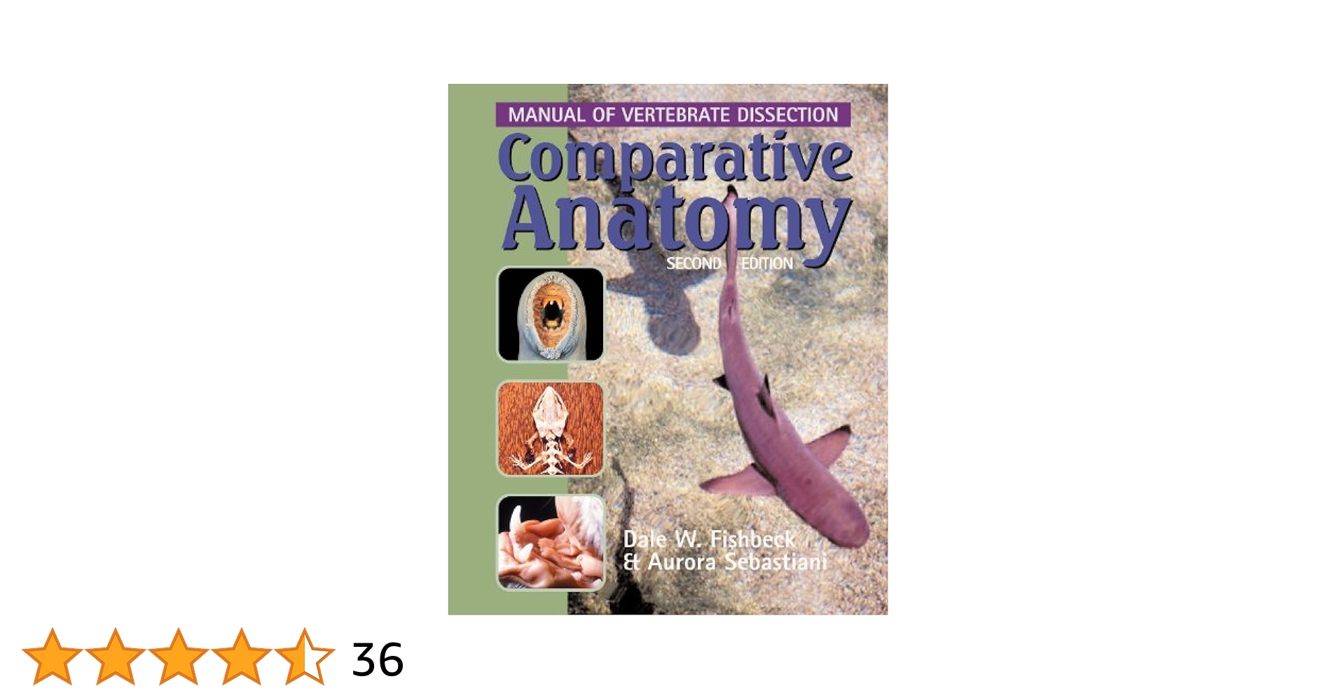 洋書　vertebrate anatomy 洋書 vertebrate anatomy 61ME3vvrUeL._UF350,350_QL50_.jpg