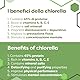 ERBOTECH, 800 Chlorella BIO Tabletten, Reine Chlorella Algenkapseln in der 200g Packung, Reich an Eisen, Omega 3 und Vitamin B12, Glutenfrei, Für Vegetarier und Veganer geeignet